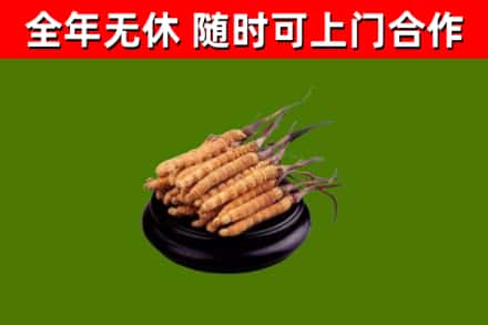 合浦县烟酒回收冬虫夏草.jpg
